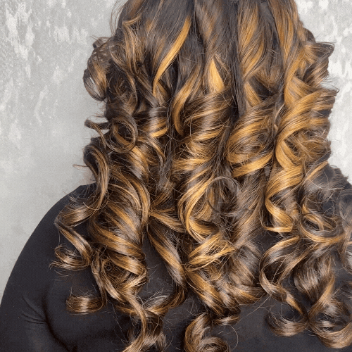 Highlights